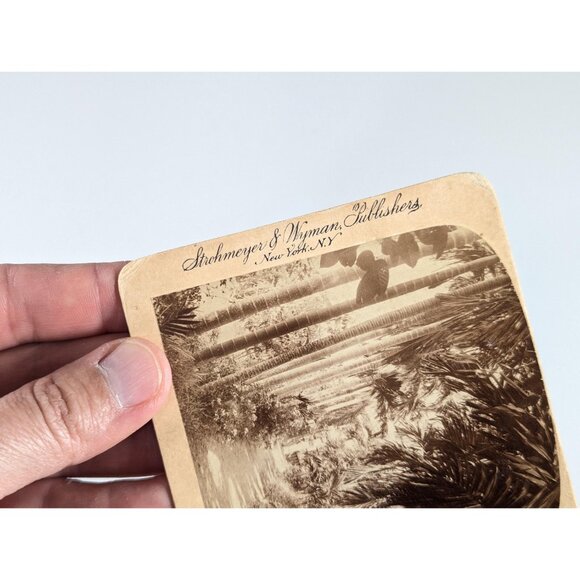 Antique Stereoview card of "the beautiful entrance to a Filipino cottage in - Picture 6 of 8
